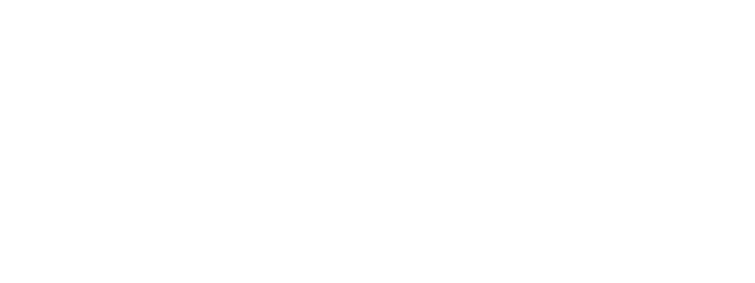 The Snouts